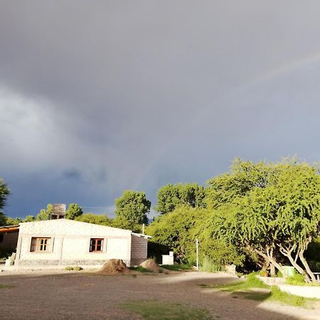 El Churqui Humahuaca Luaran gambar