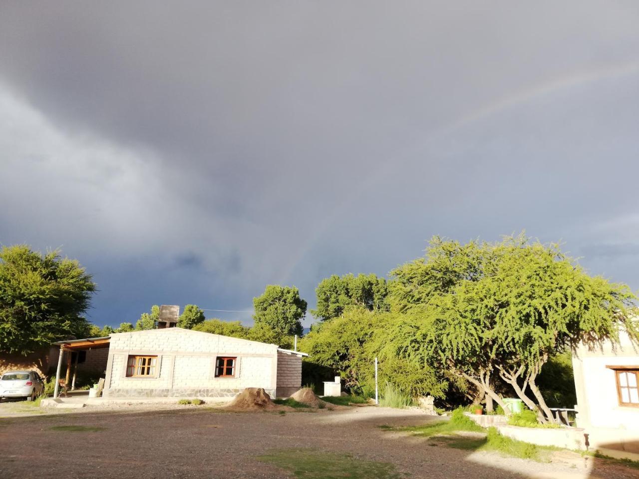 El Churqui Humahuaca Luaran gambar